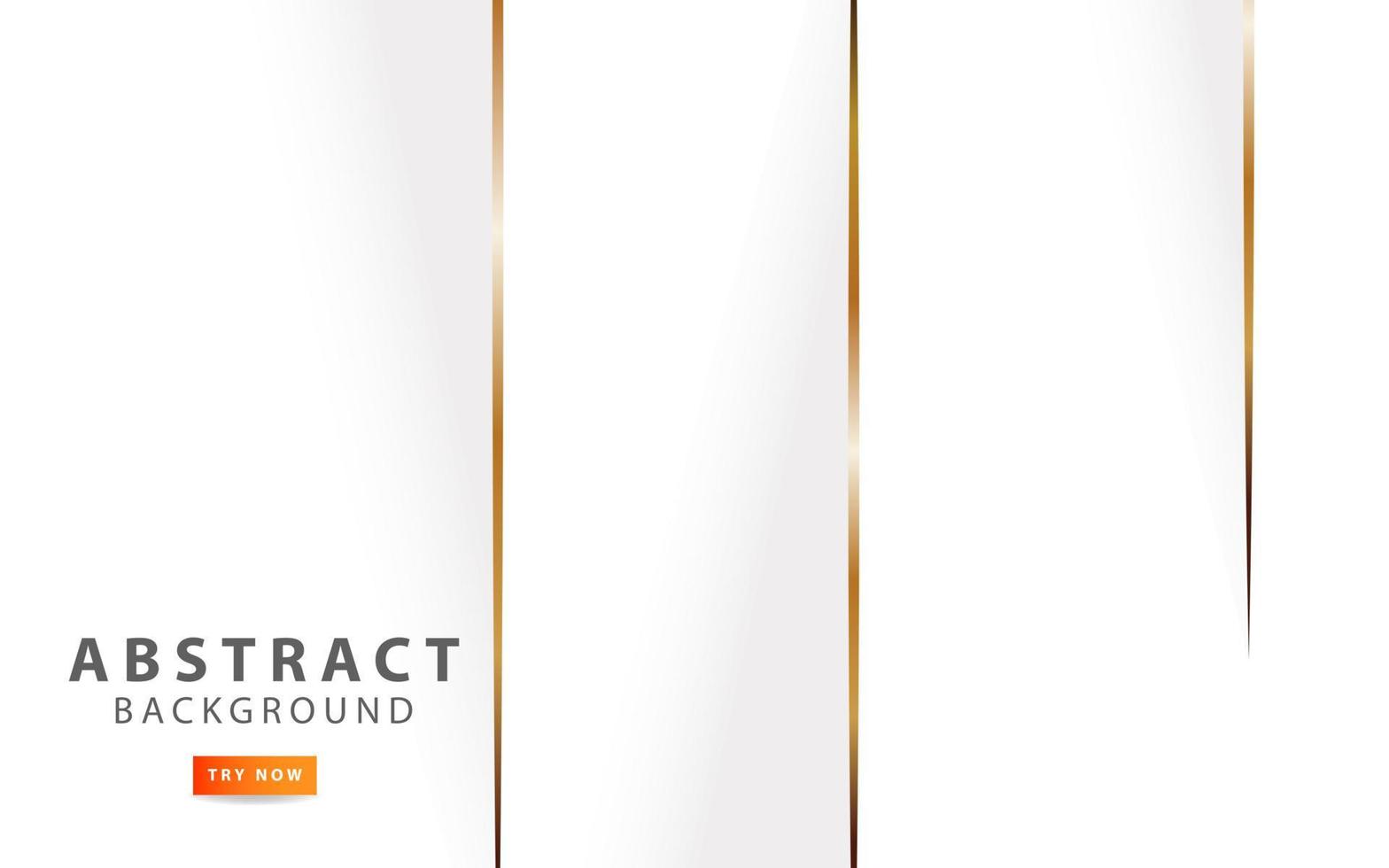 luxury white abstract background banner with golden line vector