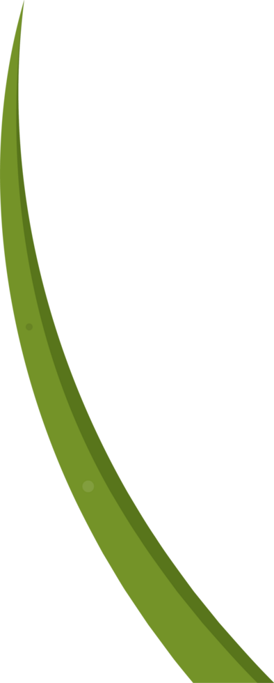 Cartoon grass leaves clip art png