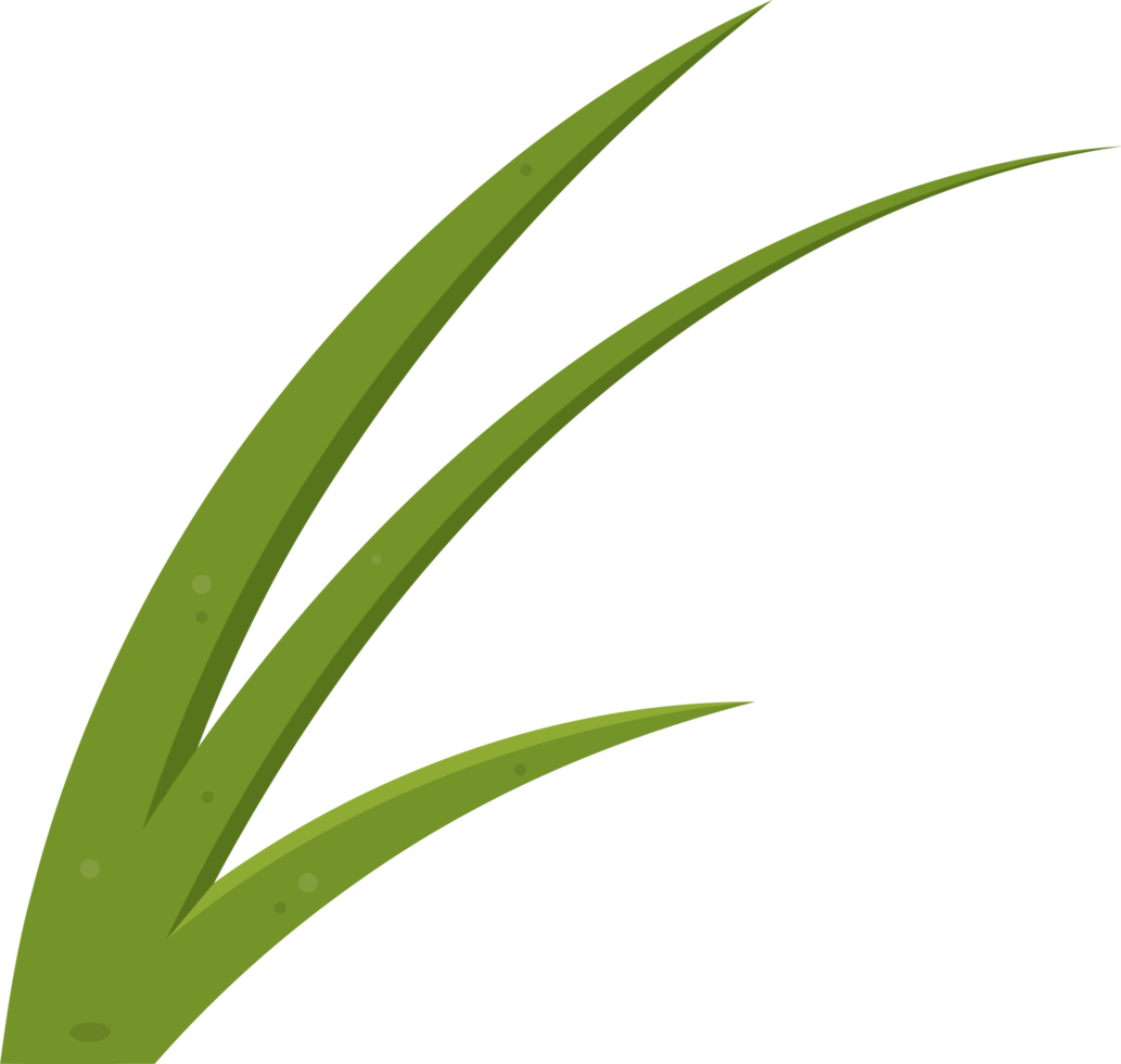 Cartoon grass leaves clip art png