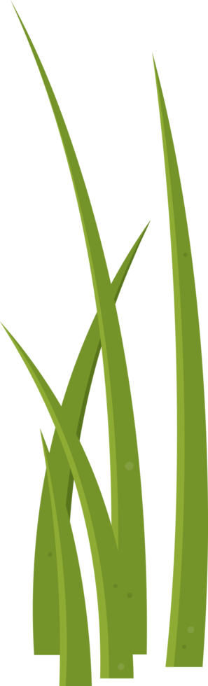 Cartoon grass leaves clip art png