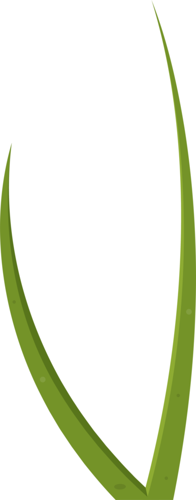 dessin animé herbe feuilles agrafe art png