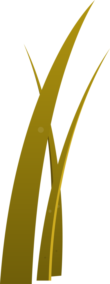 Cartoon grass leaves clip art png