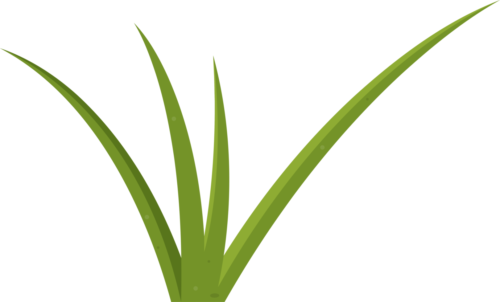 Cartoon grass leaves clip art png