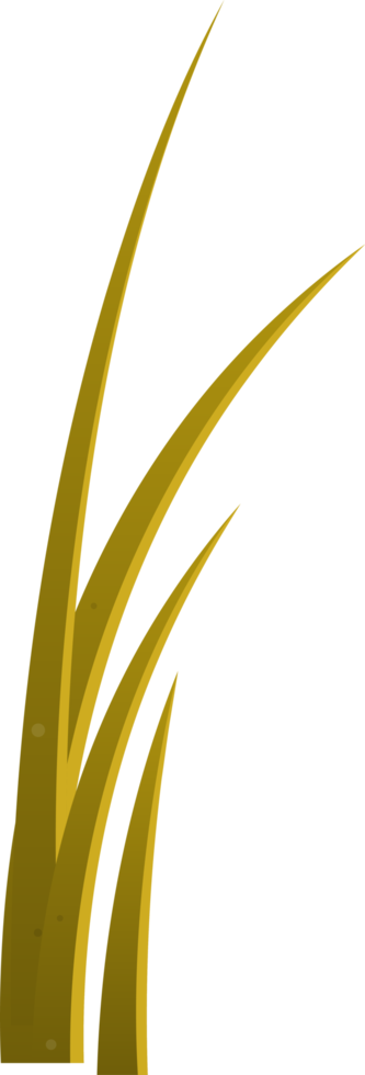 Cartoon grass leaves clip art png