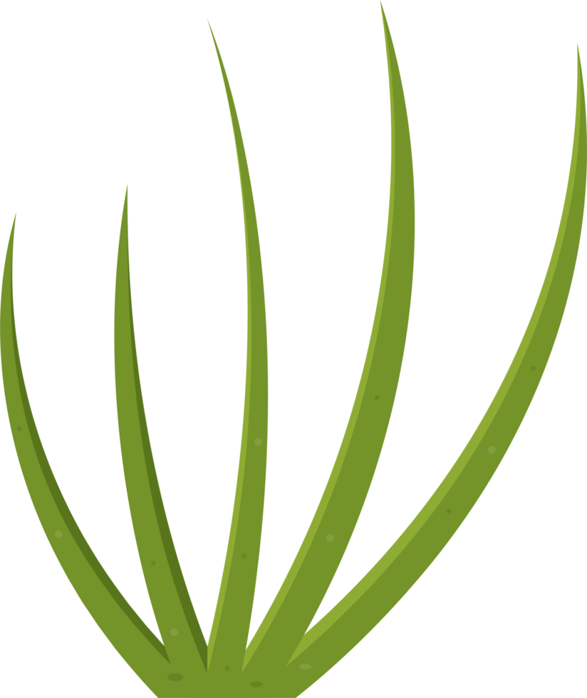 Cartoon grass leaves clip art png