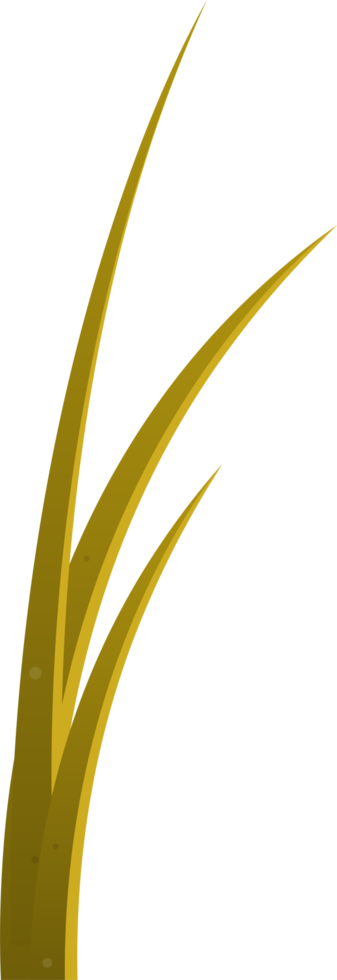 Cartoon grass leaves clip art png