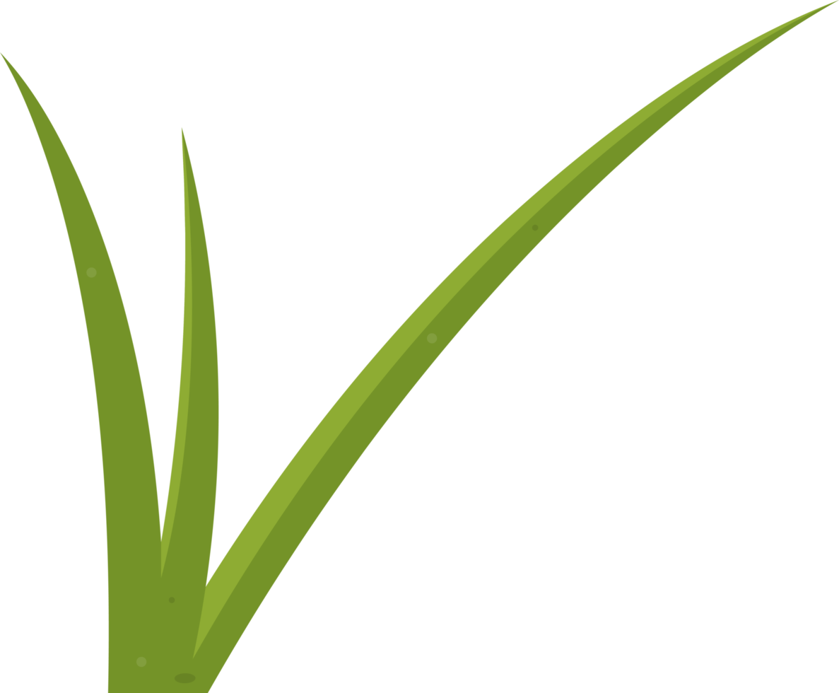 Cartoon grass leaves clip art png