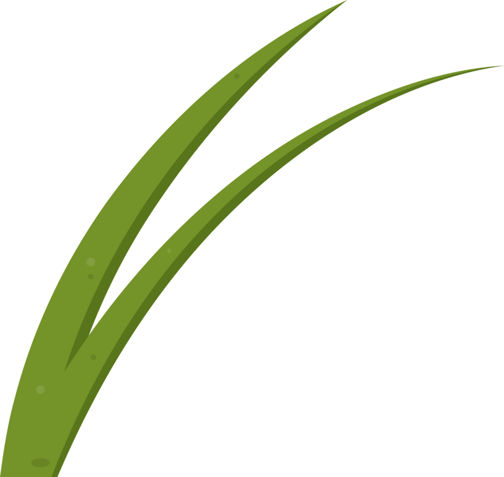 Cartoon grass leaves clip art png