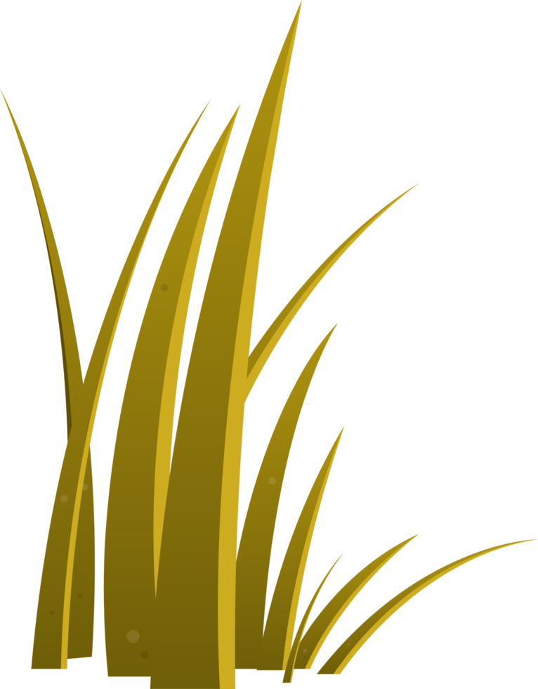 Cartoon grass leaves clip art png