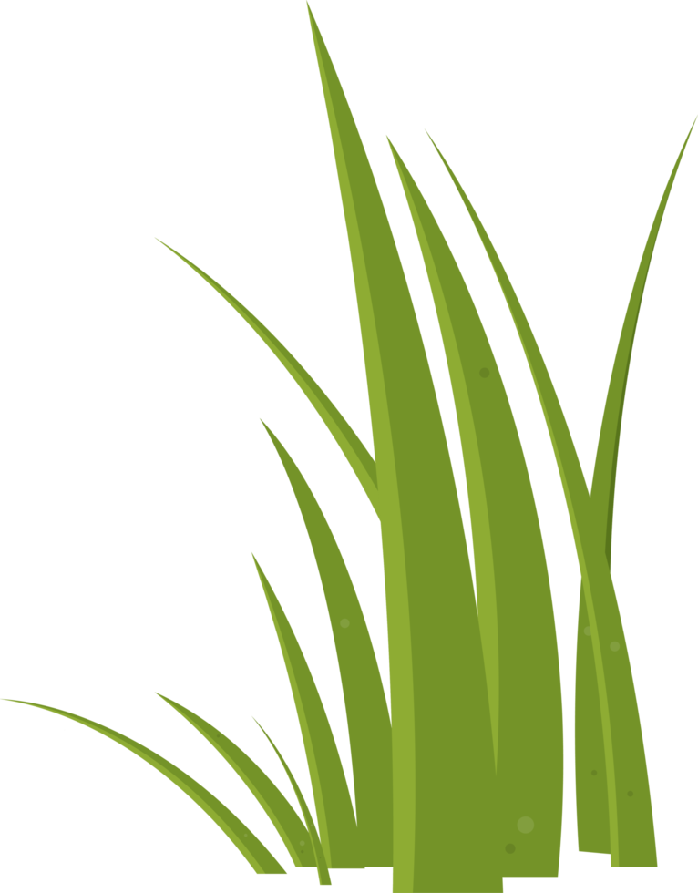 Cartoon grass leaves clip art png