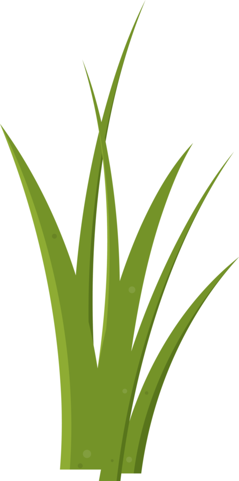 Cartoon grass leaves clip art png