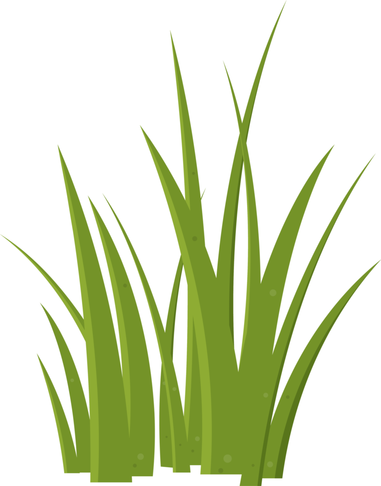 Cartoon grass leaves clip art png