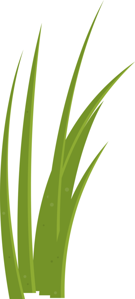 Cartoon grass leaves clip art png