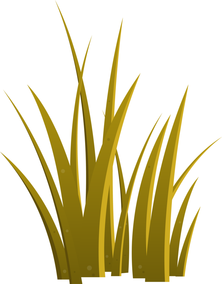 Cartoon grass leaves clip art png