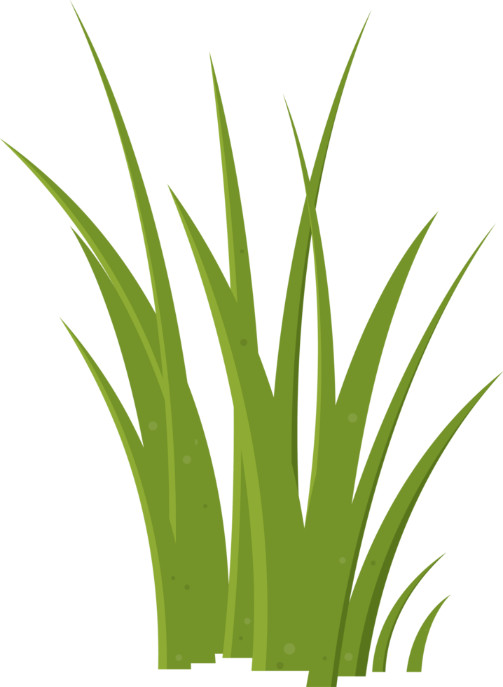 Cartoon grass leaves clip art png