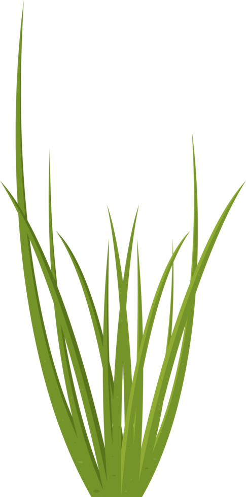 Cartoon grass leaves clip art png