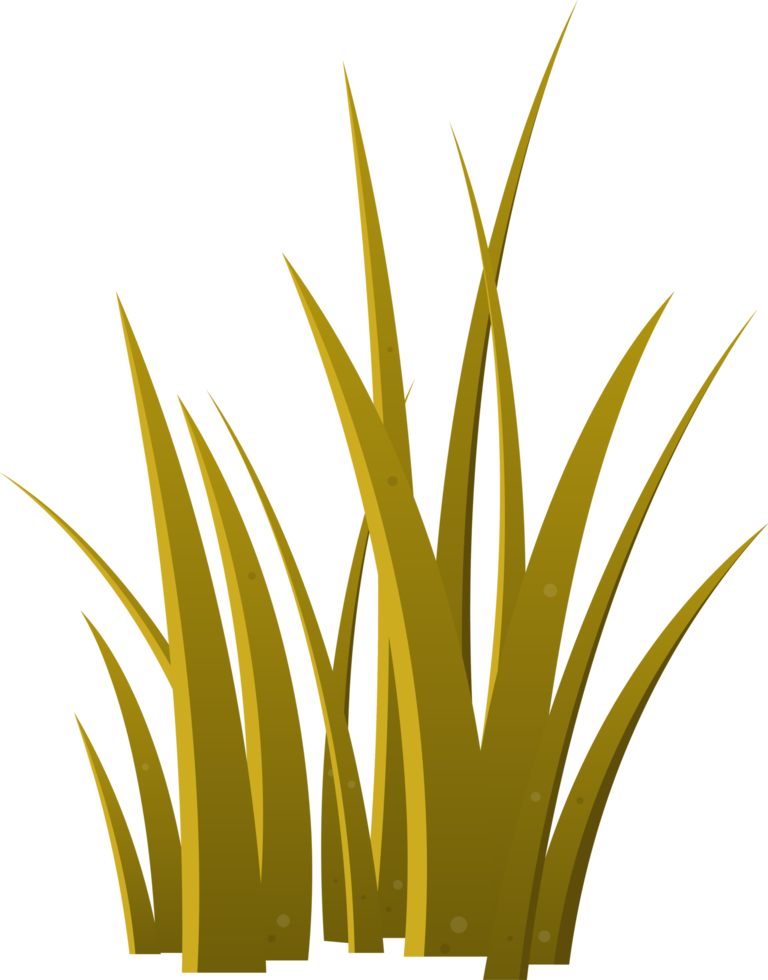 Cartoon grass leaves clip art png