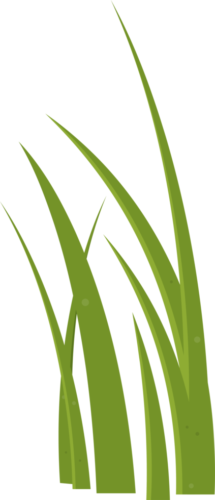 Cartoon grass leaves clip art png