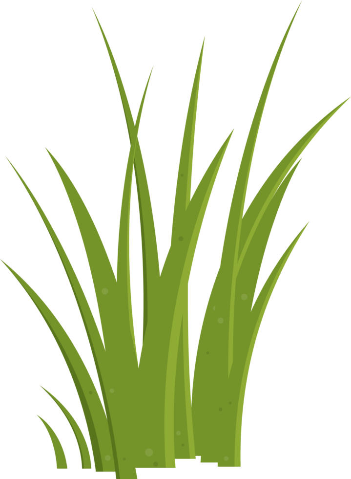 Cartoon grass leaves clip art png