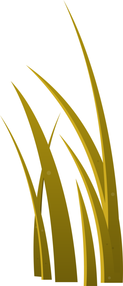 Cartoon grass leaves clip art png