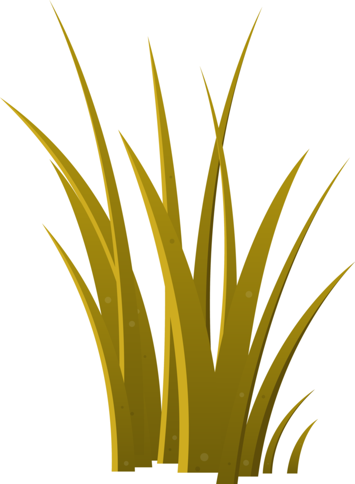 Cartoon grass leaves clip art png