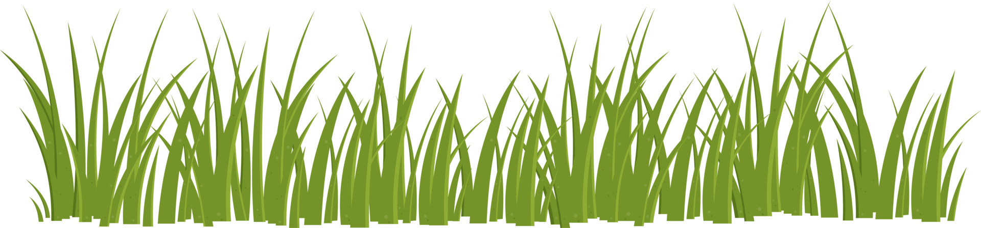 Cartoon grass leaves clip art png