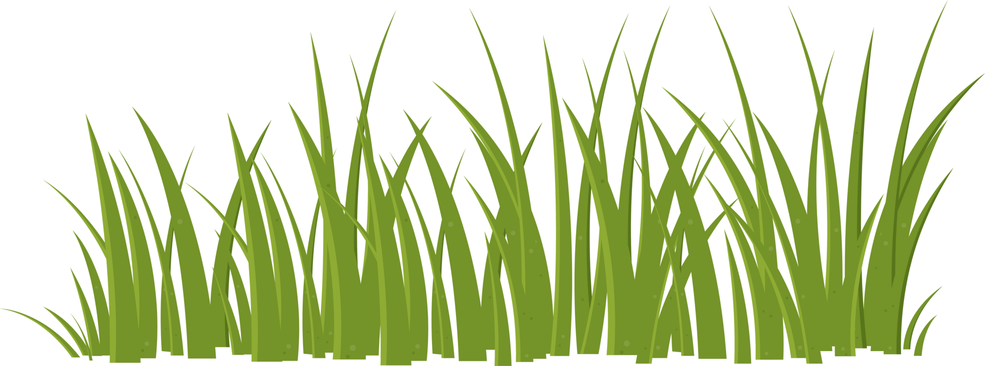 Cartoon grass leaves clip art png