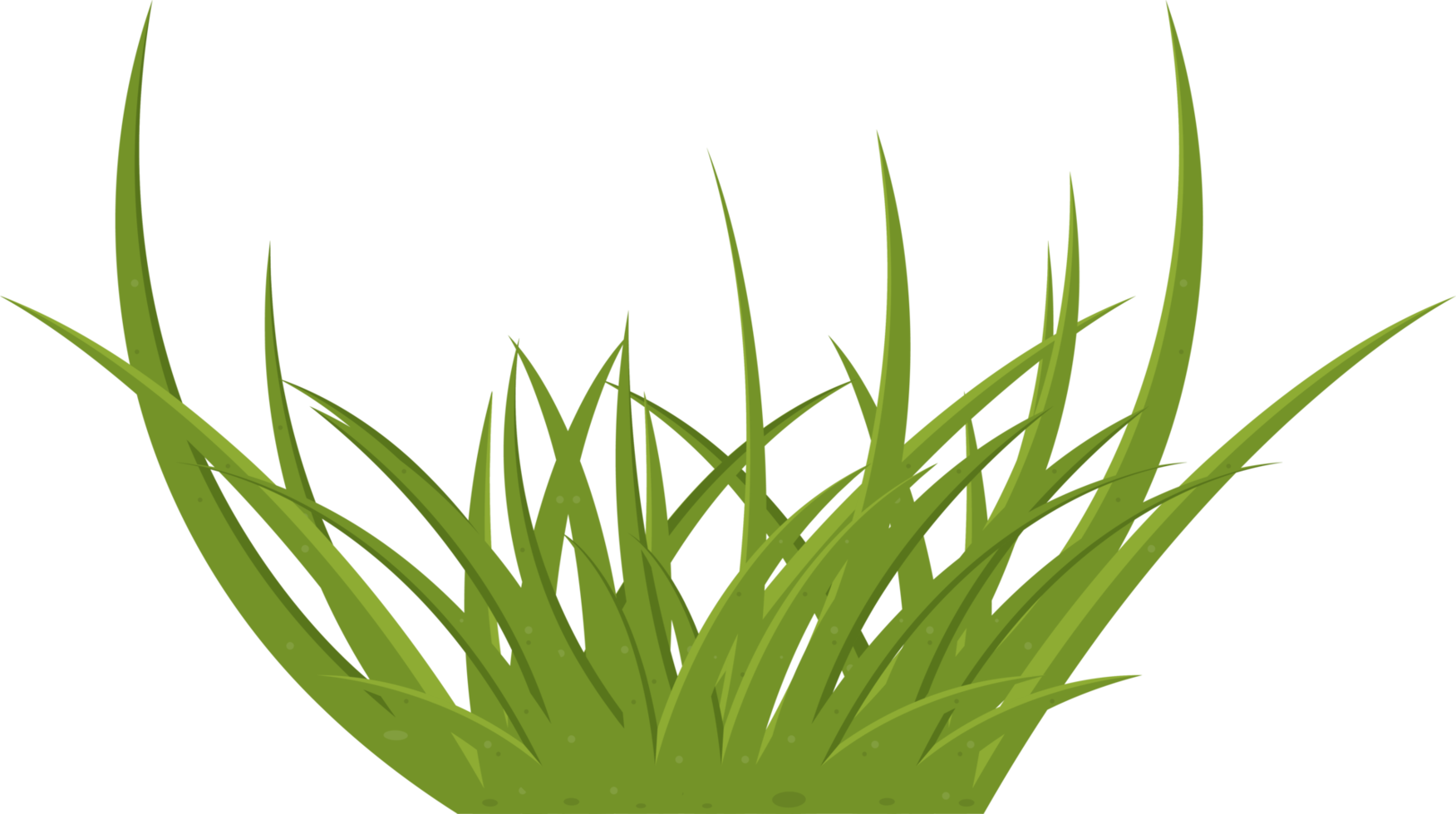 Cartoon grass leaves clip art png