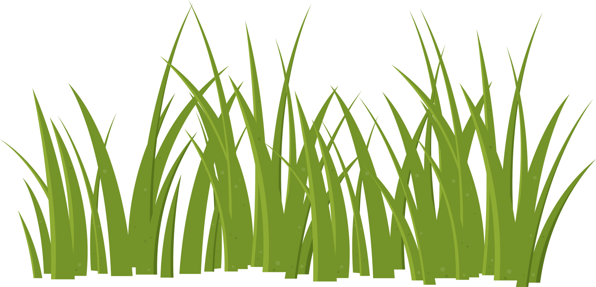 Cartoon grass leaves clip art png