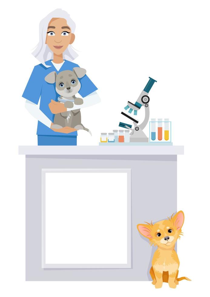 Woman veterinarian holding a dog in her hands vector
