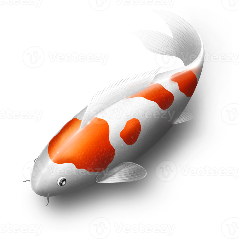 koi pesce 3d png