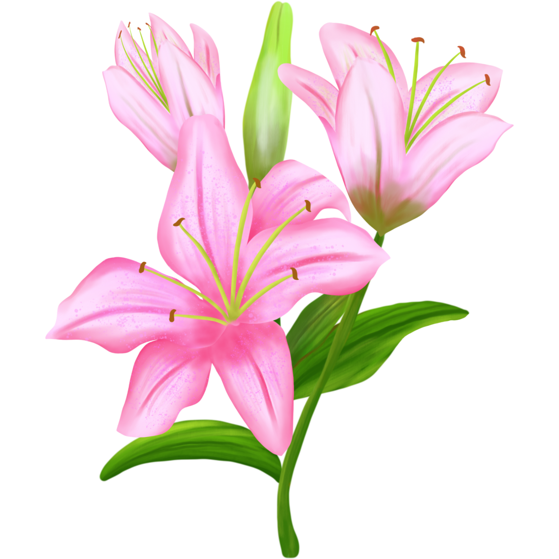 Free Bouquet of flowers lilies. 21613799 PNG with Transparent Background