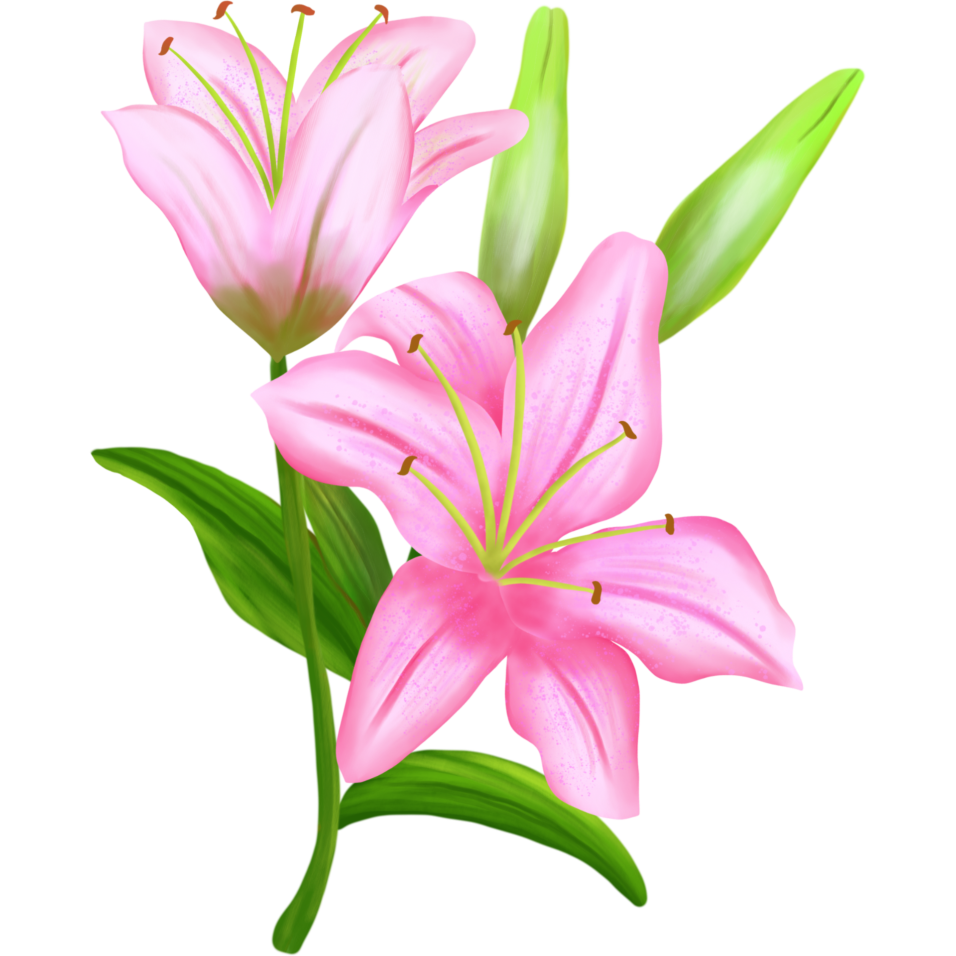 Bouquet of flowers lilies. 21613800 PNG