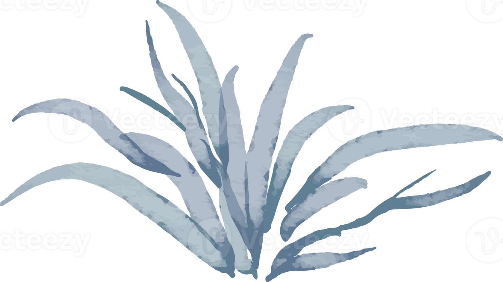 isolated watercolor illustration of blue grass png