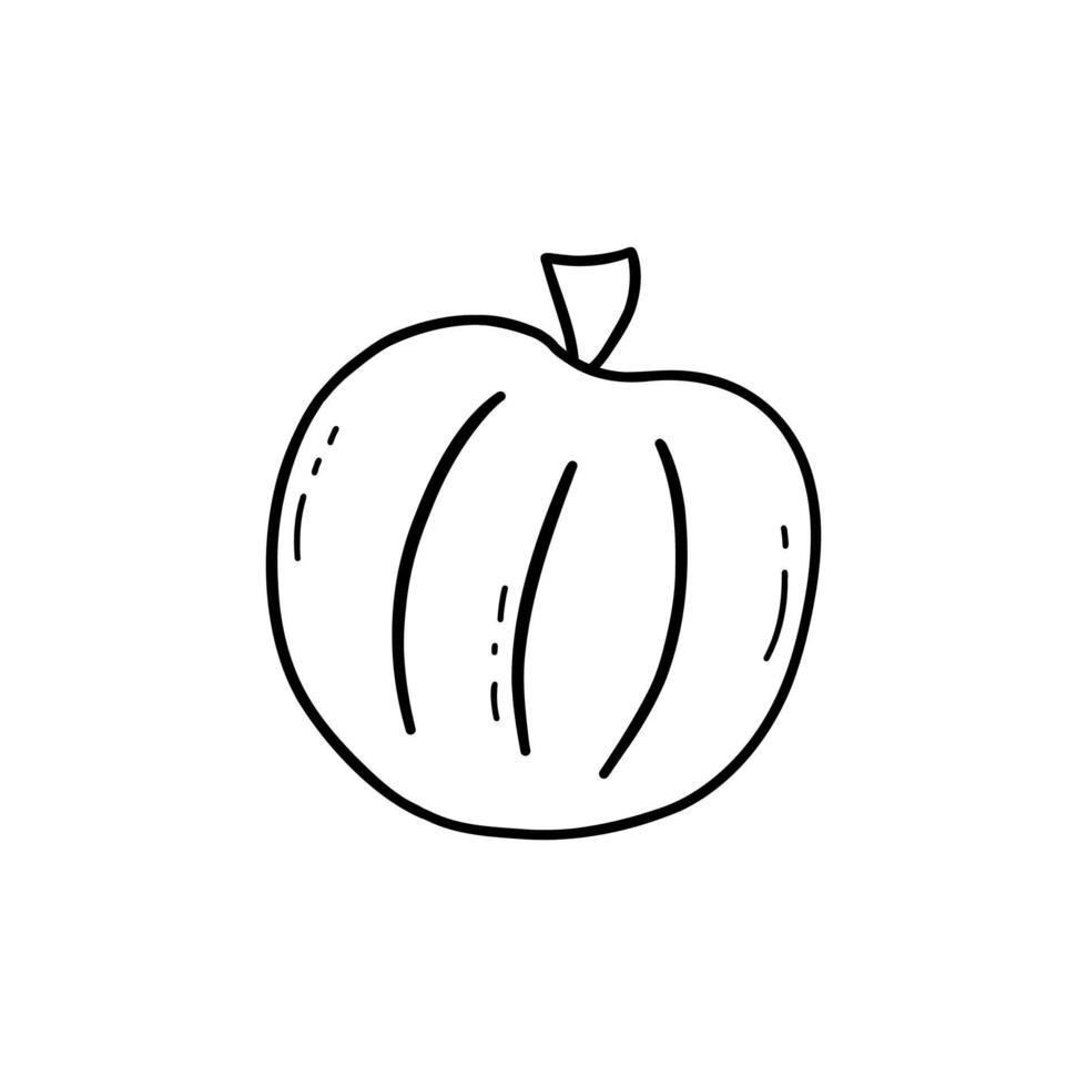 Round pumpkin doodle. Autumn harvesting. Vector isolated gourd
