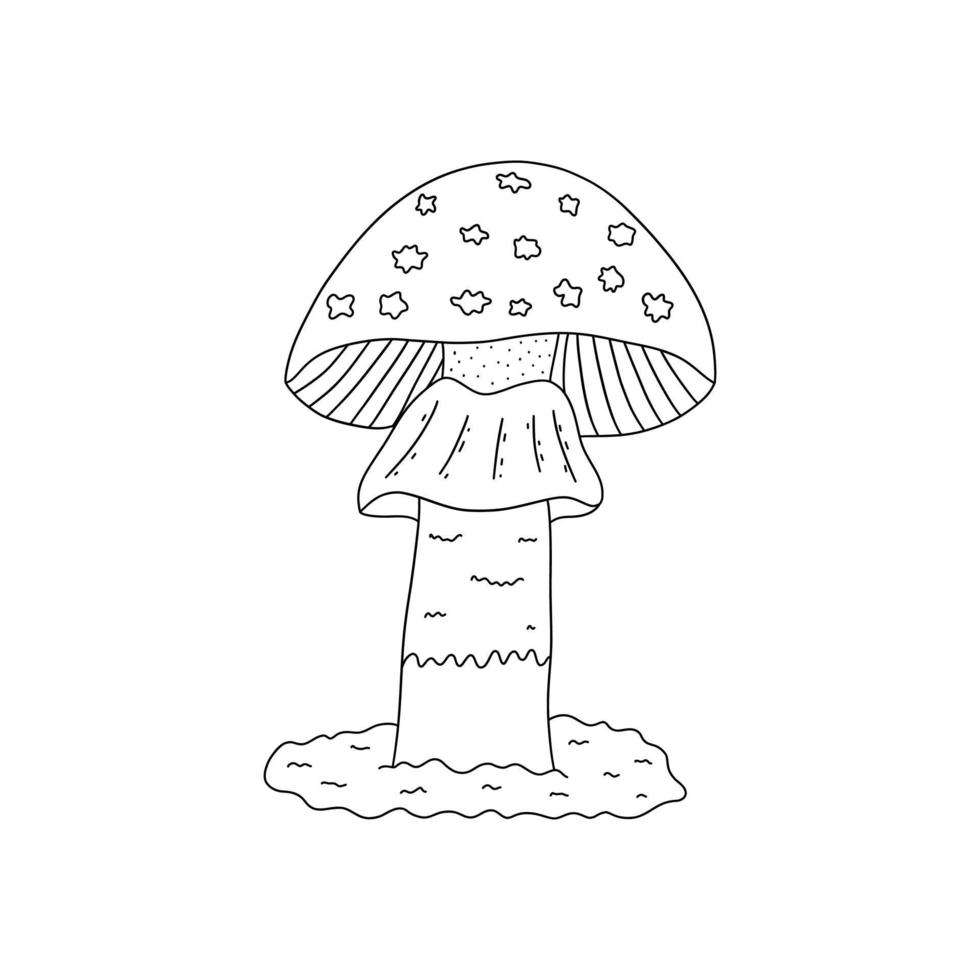 Fly agaric mushroom. Vector hand drawn doodle