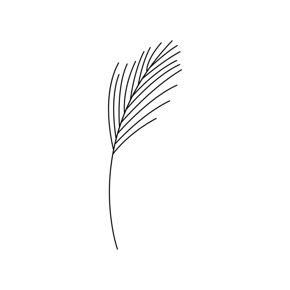 Abstract sprig of a plant. Vector line isolated