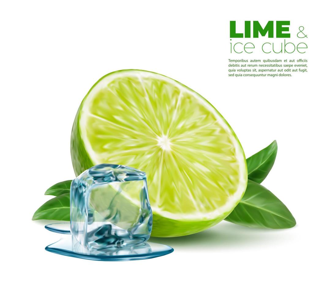 realista Lima con derritiendo hielo cubo, menta hojas vector