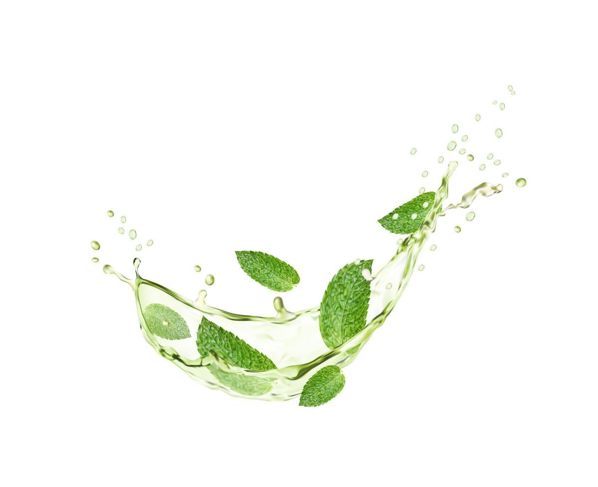 verde herbario té chapoteo ola con menta hojas vector