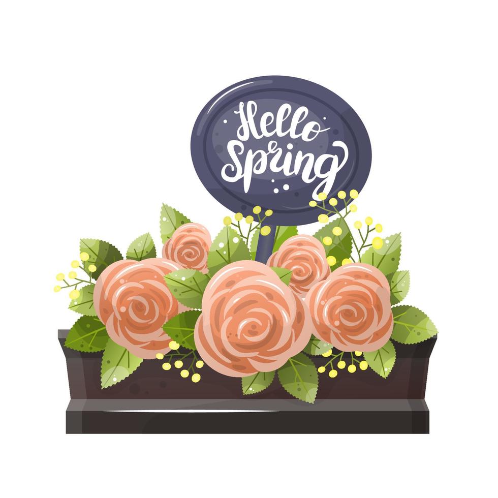 Vector collection of spring bouquet. Cute floral greeting cups with hello spring inscription. Spring isolated vector illustration with a mug and a bouquet of roses.