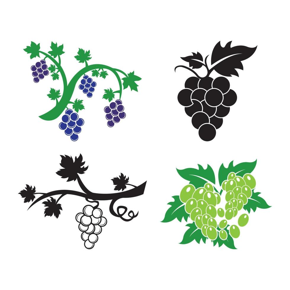 uva icono vector ilustración logo diseño