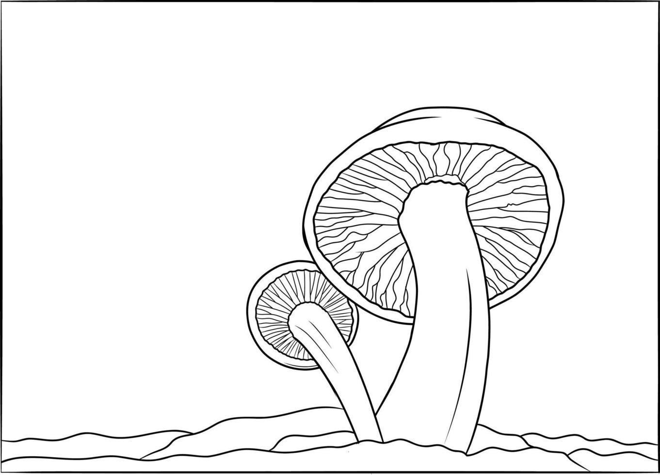 Hand drawn Coloring book Mushroom Background vector