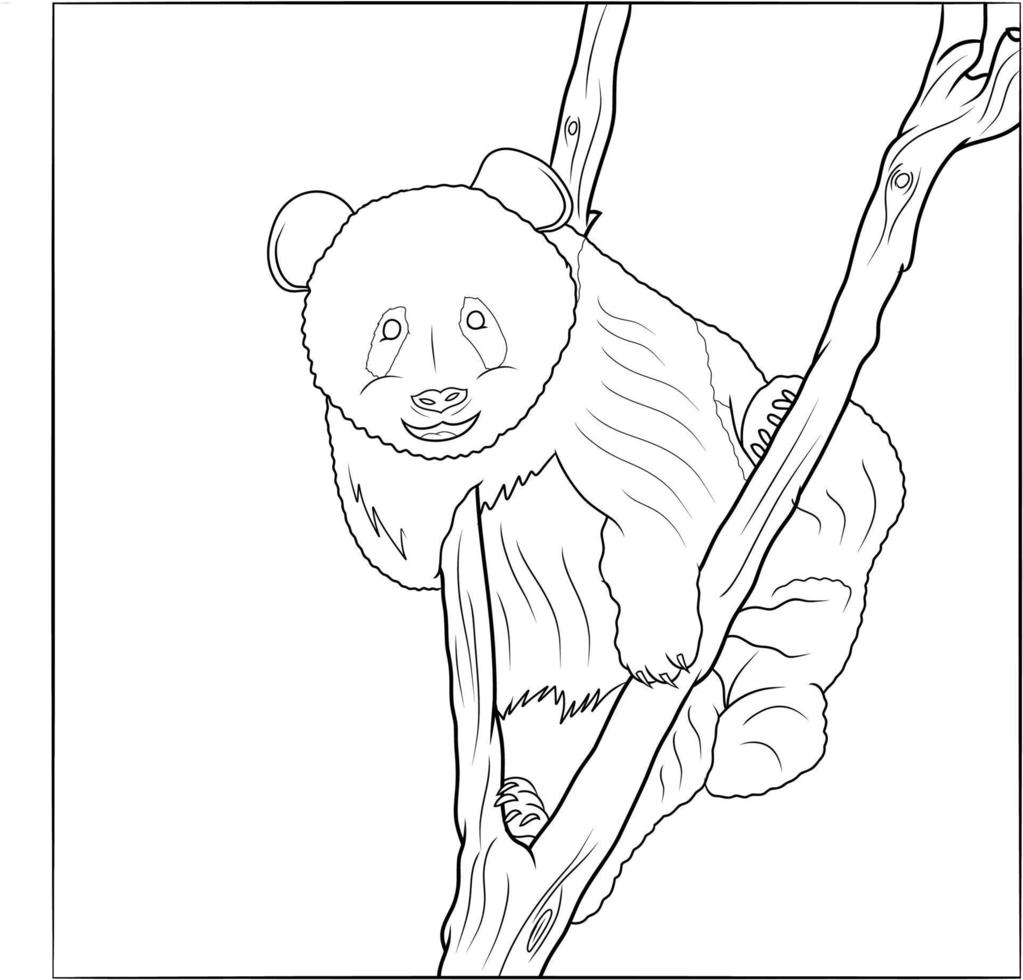 Cute hand drawn Coloring Book Panda Isolated vector