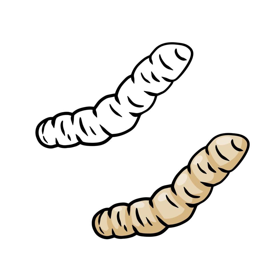 Little worm. Nasty larva and maggot insect vector