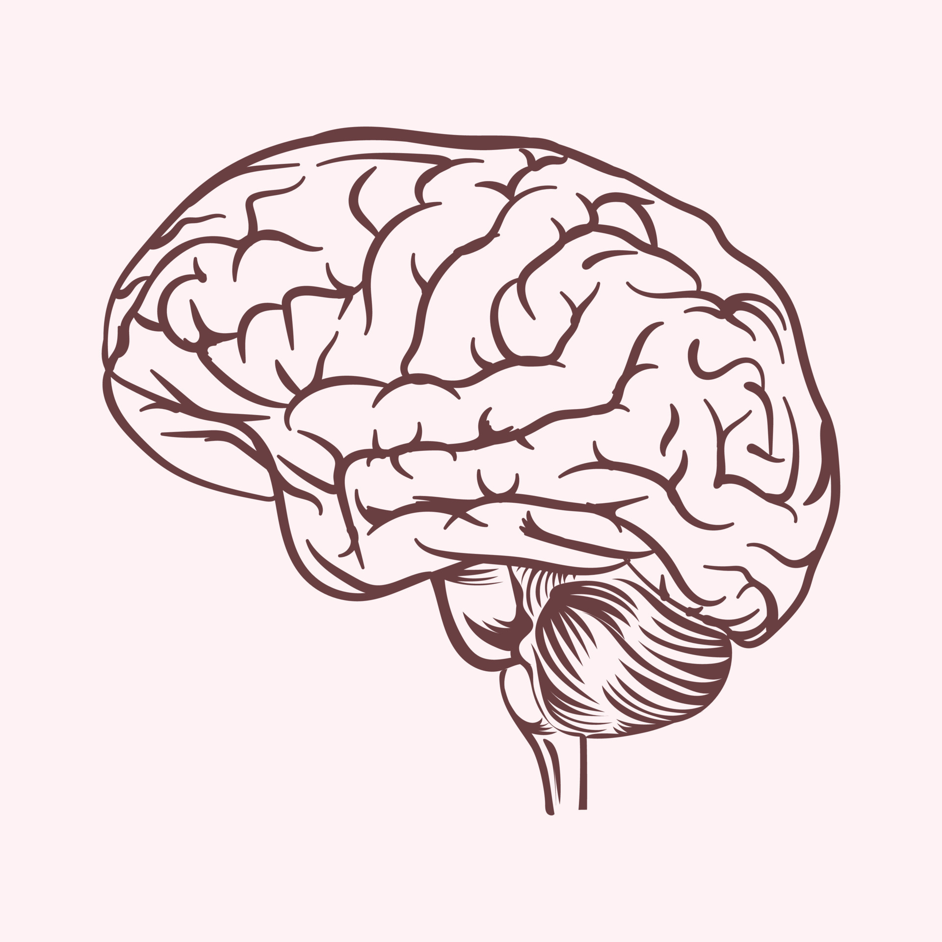 Human brain vector design illustration black and white 21617727 Vector ...