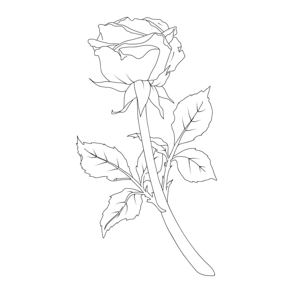 vector ilustración de un Rosa en línea Arte estilo