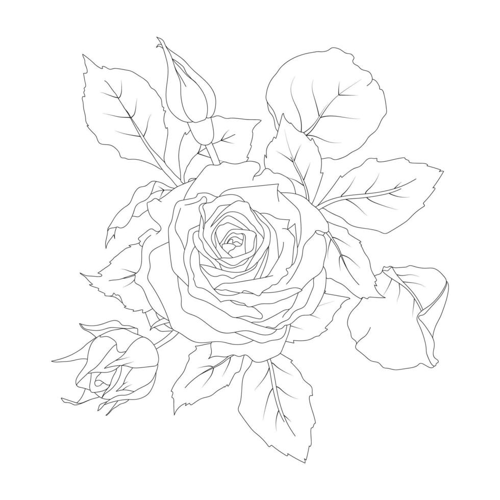 Composition of roses vector illustration line art