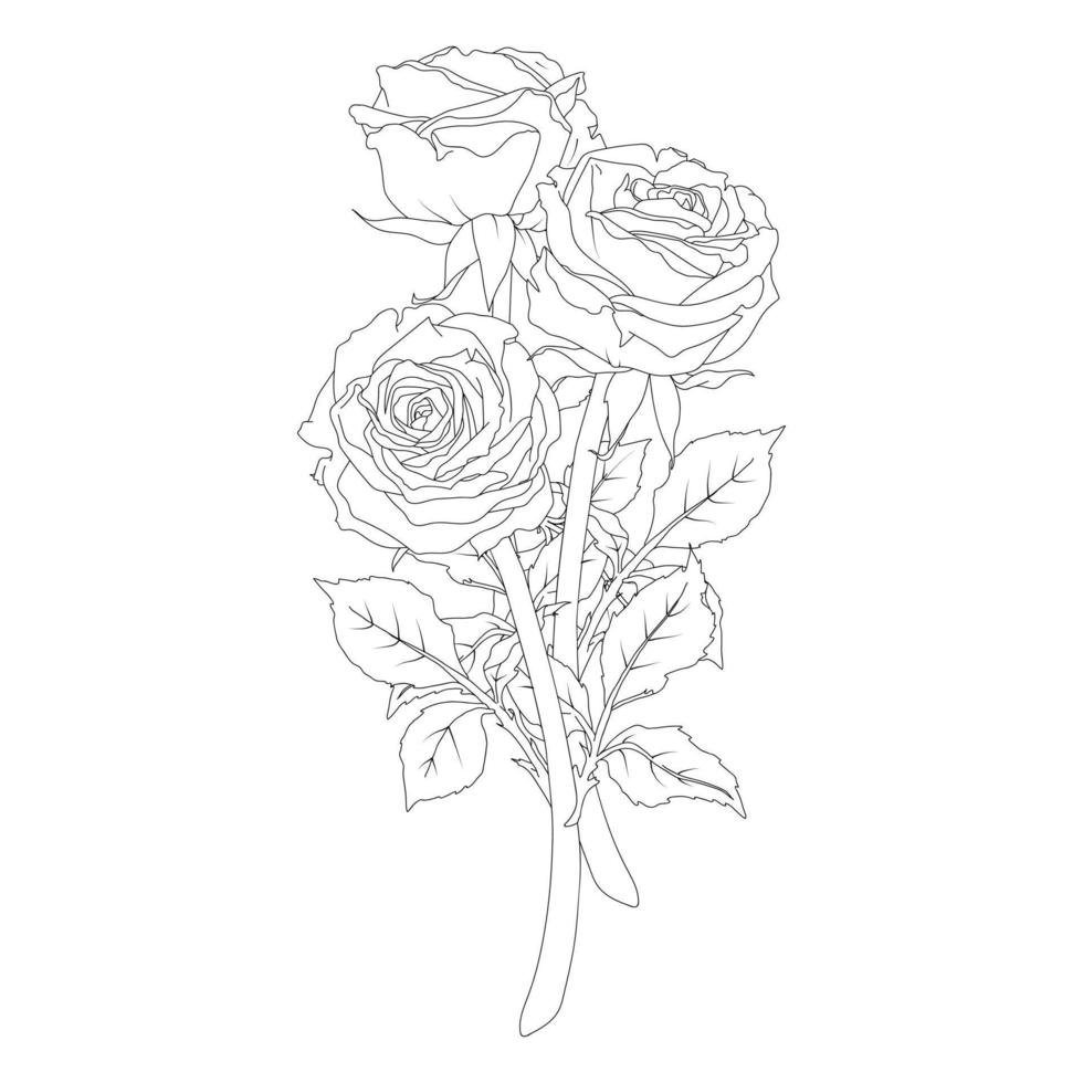 Bouquet composition of a rose in line art style vector