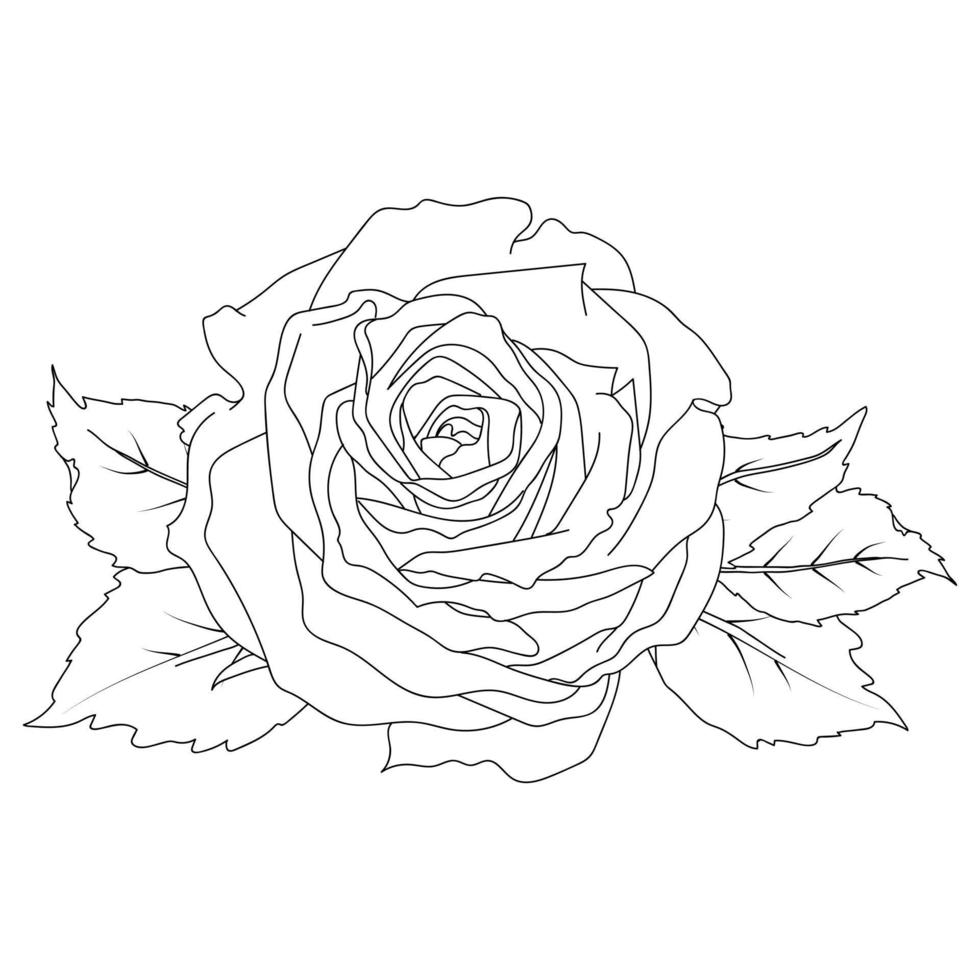 Composition of rose in line art style vector