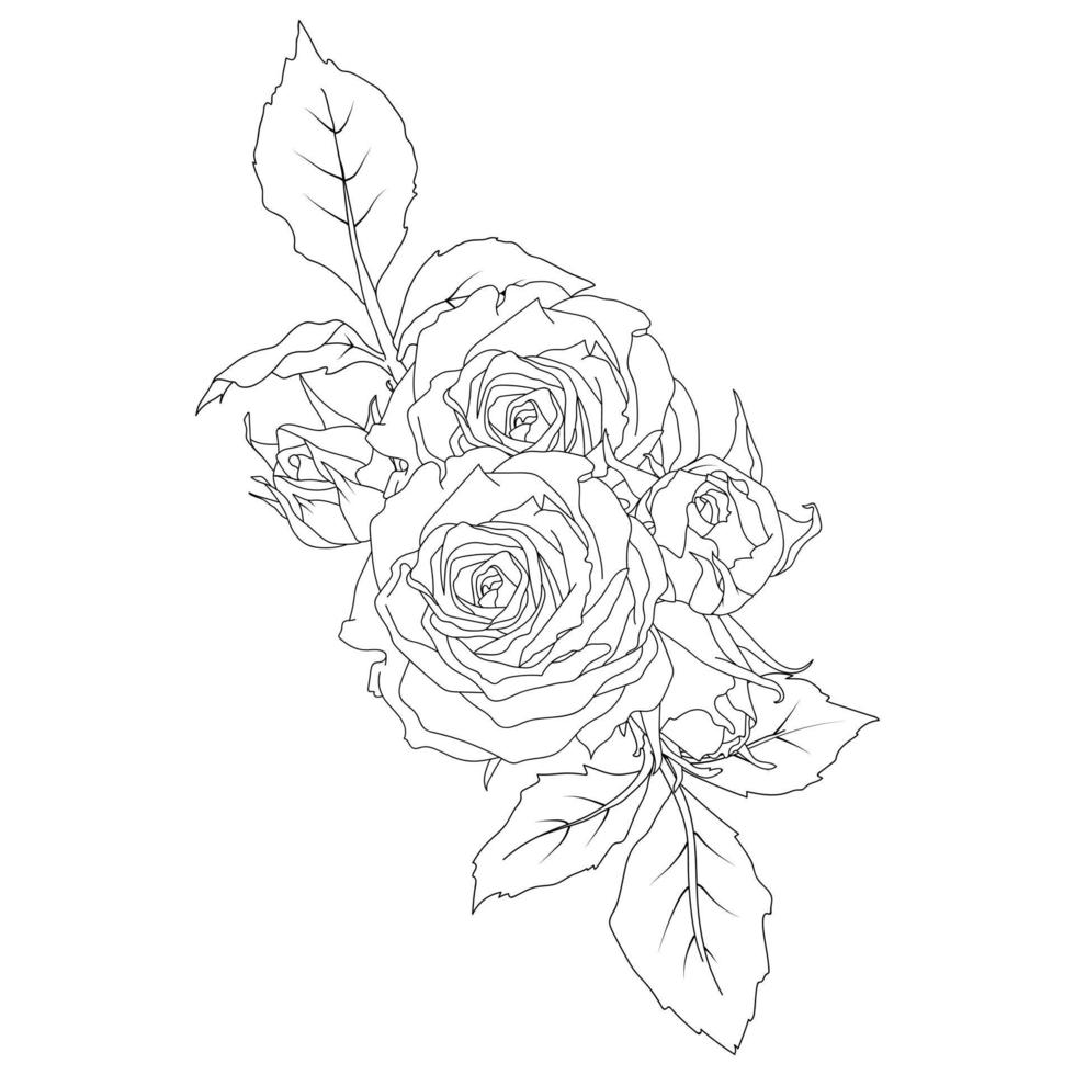 Composition of rose outline flowers vector